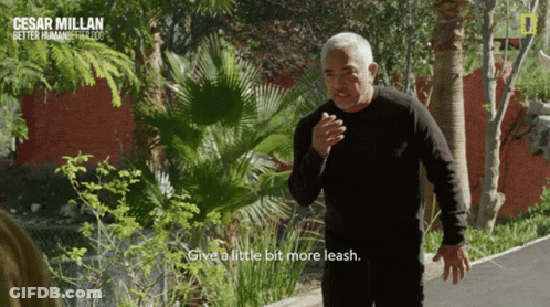 Man In Black Shirt Says Give A Little Bit More Leash National Geographic Ad GIF