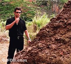 Man In Black Shirt Standing Next To Pile Of Dirt GIF