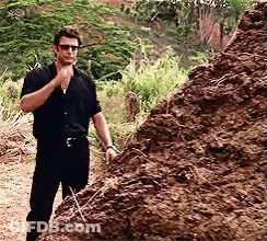 Man In Black Shirt Sunglasses Beside Dirt Pile GIF