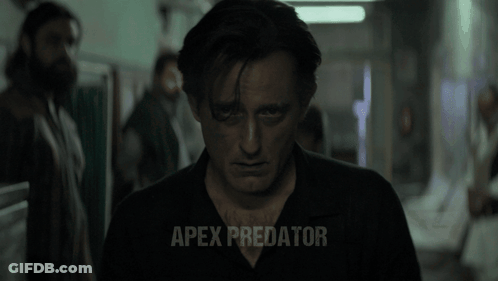 Man In Black Shirt With Apex Predator GIF