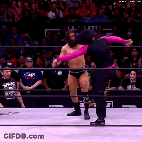 Man In Black Shirt With Shark Word Wrestling Ring GIF