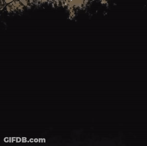 Man In Black Suit And White Mask In Dark Forest GIF