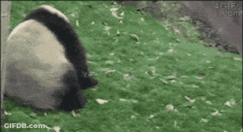 Man In Black Tank Top Arm In Air GIF
