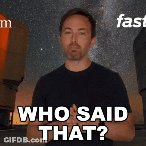 Man In Black Tees Who Said That GIF
