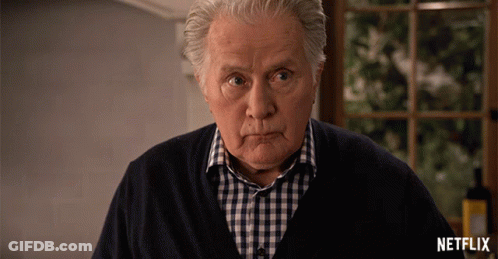 Man In Blue And White Checkered Shirt GIF
