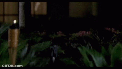 Man In Blue And White Jacket And White Hat In Dark Room GIF