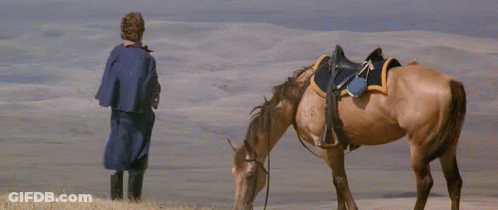 Man In Blue Cape Next To Horse GIF