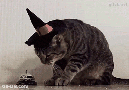 Man In Blue Hat Talking Into Microphone On Fox News GIF