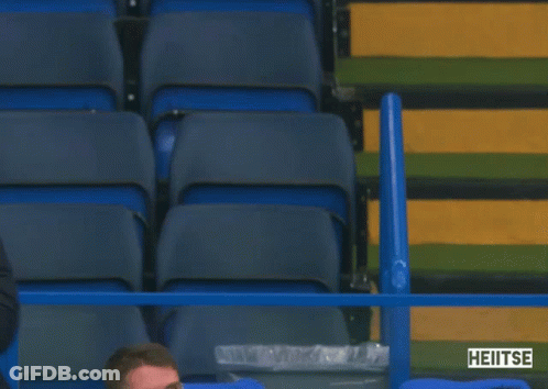 Man In Blue Jacket In Stadium With Heitse GIF