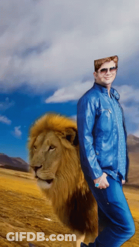 Man In Blue Jacket Next To Lion In Field GIF