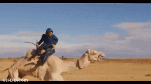 Man In Blue Jacket Sitting On Camel In Desert GIF