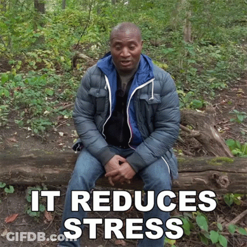 Man In Blue Jacket Sitting On Log GIF