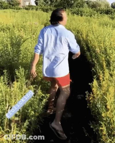 Man In Blue Shirt And Red Shorts Walking Through Grassy Field GIF