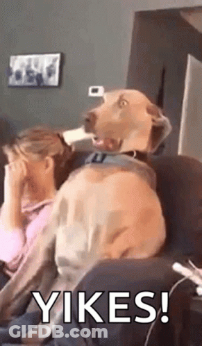 Man In Blue Shirt And Tie Before Bulletin Board GIF