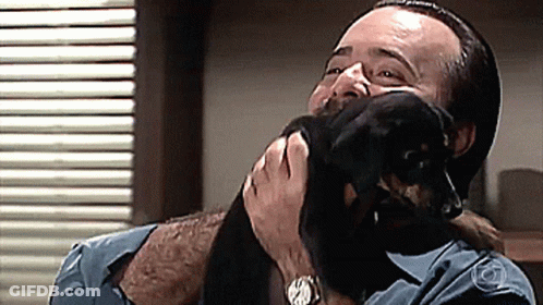 Man In Blue Shirt Holding Small Black Dog GIF