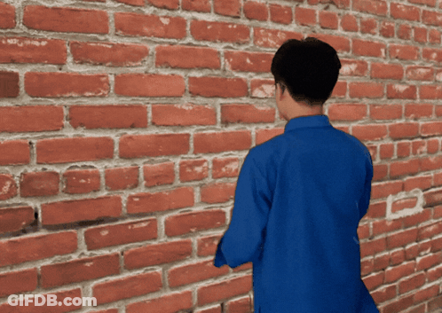 Man In Blue Shirt In Front Of Brick Wall GIF