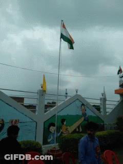 Man In Blue Shirt In Front Of Fence And Flag GIF