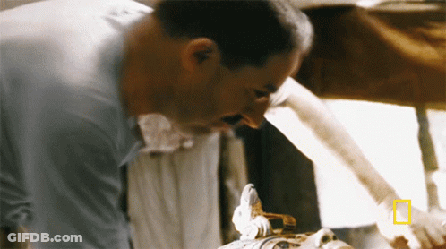 Man In Blue Shirt Looking At National Geographic Statue GIF
