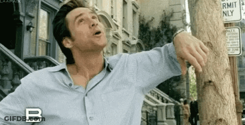 Man In Blue Shirt Looking Up At Tree GIF