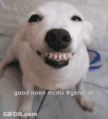Man In Blue Shirt Making Funny Face Stadium GIF