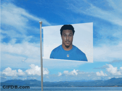 Man In Blue Shirt On Flag GIF
