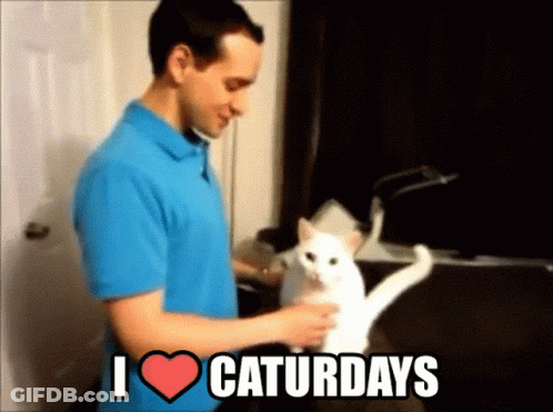 Man In Blue Shirt Petting White Cat Saying I Heart Caturdays GIF