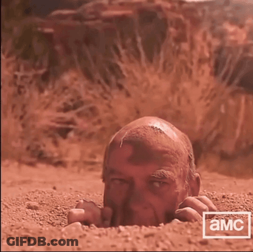 Man In Blue Shirt Saying Sap GIF