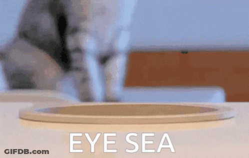 Man In Blue Shirt Saying The Power Of Veto Is Mine GIF