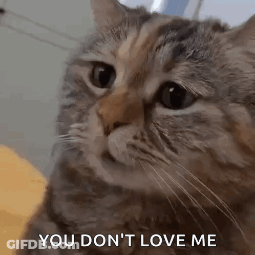Man In Blue Shirt Saying This Is So Good GIF