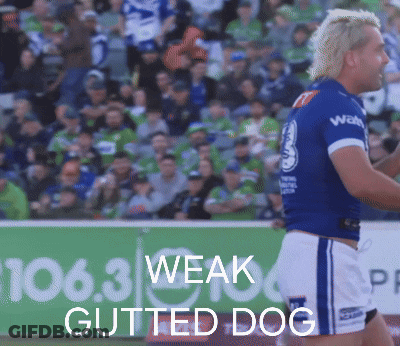 Man In Blue Shirt Says Weak Gutted Dog GIF