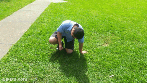 Man In Blue Shirt Sitting On Grass GIF