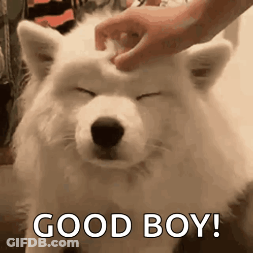 Man In Blue Shirt Smiling 1St One GIF