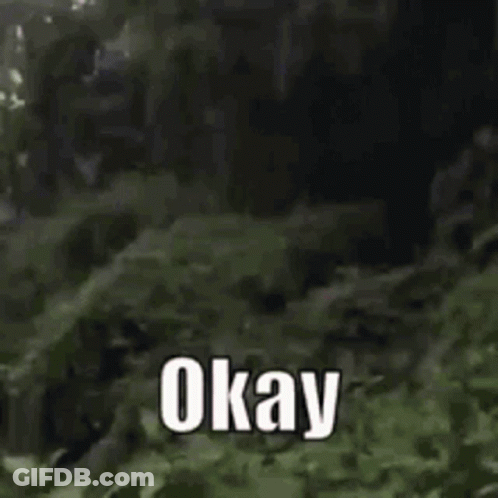 Man In Blue Shirt Smiling And Saying Okay GIF