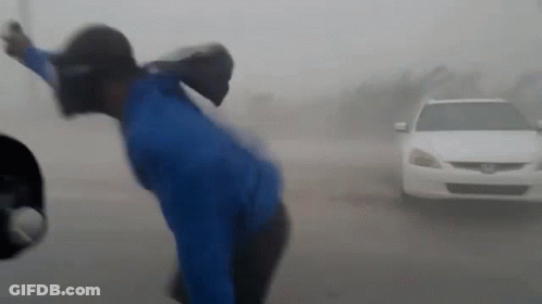 Man In Blue Shirt Standing By White Honda Car GIF