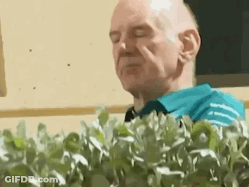 Man In Blue Shirt Standing In Front Of Bush GIF