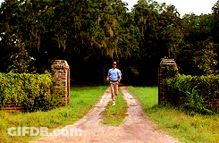 Man In Blue Shirt Walking GIF