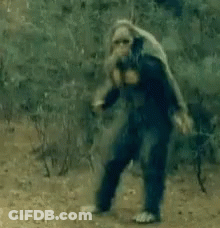 Man In Blue Suit Standing On Dirt Road GIF