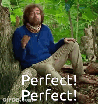 Man In Blue Sweater Sitting On Tree Trunk GIF