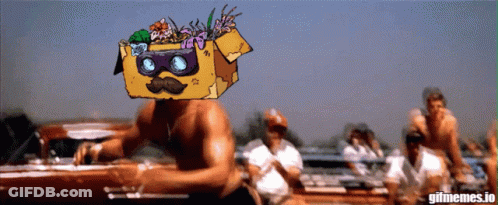 Man In Boat With Box On Head Saying Gifmemes.io GIF