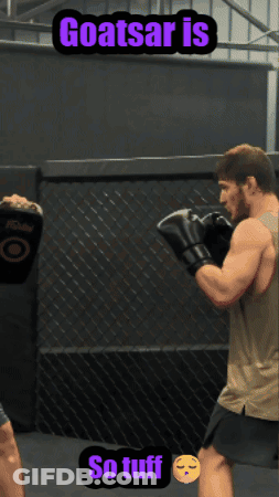 Man In Boxing Gloves Goatsar Is So Tuff GIF