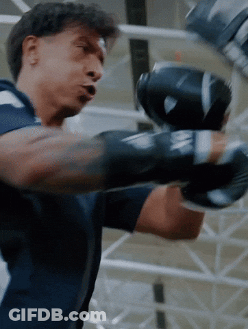 Man In Boxing Gloves With Letter E On Cuffs GIF