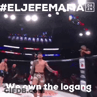Man In Boxing Ring We Own The Logans GIF