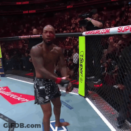 Man In Boxing Ring With Budweiser Ad GIF