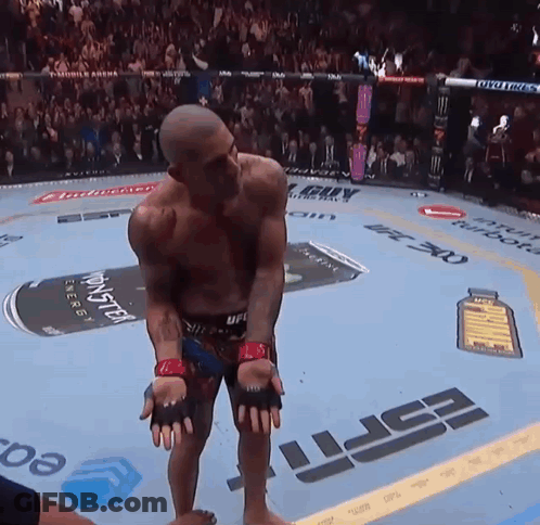 Man In Boxing Ring With Budweiser Ad GIF