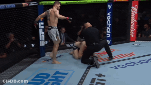 Man In Boxing Ring With Budweiser Ad GIF