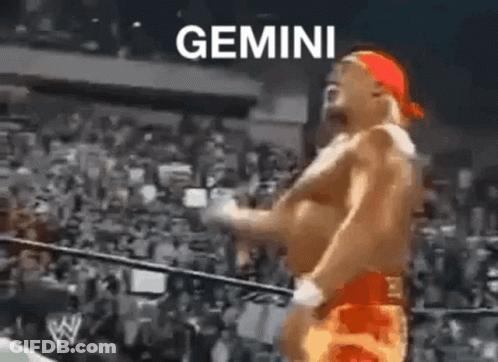 Man In Boxing Ring With Gemini GIF