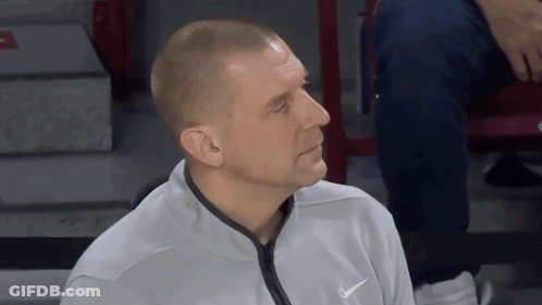 Man In Boxing Ring With Polar Bear Szn GIF