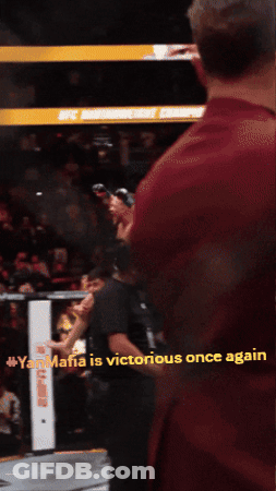Man In Boxing Ring Yanmafia Is Victorious Once Again GIF