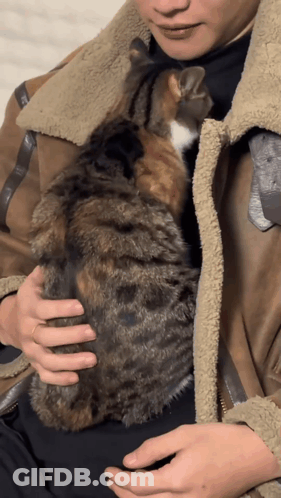 Man In Brown Jacket Holding Cat GIF