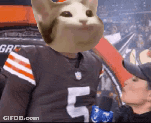 Man In Brown Jersey Number 5 GIF